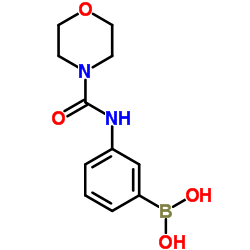 {3-[(4-Morpholinylcarbonyl)amino]phenyl}boronic acid结构式