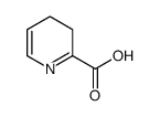 2-Pyridinecarboxylicacid,3,4-dihydro-(9CI) picture
