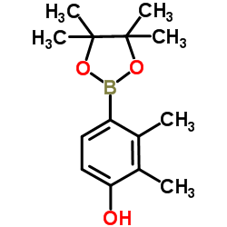 2,3-Dimethyl-4-(4,4,5,5-tetramethyl-1,3,2-dioxaborolan-2-yl)phenol picture