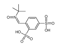 N-tert-butyl-1-(2,4-disulfophenyl)methanimine oxide结构式