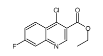 4-Chloro-7-fluoroquinoline-3-carboxylic acid ethyl ester picture