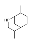 4,8-二甲基-2-磷酸双环[3.3.1]壬烷结构式