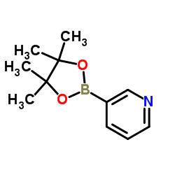 3-(4,4,5,5-Tetramethyl-1,3,2-dioxaborolan-2-yl)pyridine picture