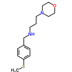 (4-METHYLSULFANYL-BENZYL)-(3-MORPHOLIN-4-YL-PROPYL)-AMINE Structure