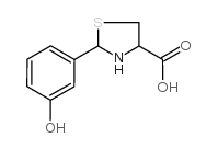 2-(3-HYDROXY-PHENYL)-THIAZOLIDINE-4-CARBOXYLIC ACID picture