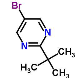 5-Bromo-2-tert-butylpyrimidine Structure