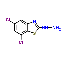 5,7-DICHLORO-2(3H)-BENZOTHIAZOLONEHYDRAZONE structure