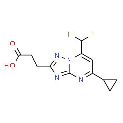 3-[5-Cyclopropyl-7-(difluoromethyl)-[1,2,4]triazolo[1,5-a]pyrimidin-2-yl]propanoic acid Structure