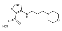 N-(3-morpholin-4-ylpropyl)-2-nitrothiophen-3-amine,hydrochloride结构式