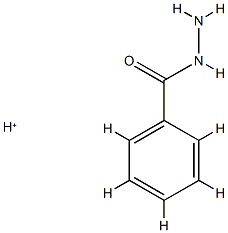 Benzoic acid,hydrazide,conjugate monoacid (9CI)结构式