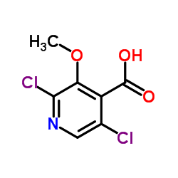 2,5-Dichloro-3-methoxyisonicotinic acid结构式