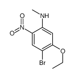 4-bromo-5-ethoxy-N-methyl-2-nitroaniline结构式