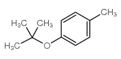 tert-butyl 4-methylphenyl ether Structure