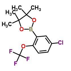 2-(5-Chloro-2-(trifluoromethoxy)phenyl)-4,4,5,5-tetramethyl-1,3,2-dioxaborolane Structure