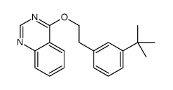 3-TERT-BUTYLPHENETHYL QUINAZOLIN-4-YL ETHER picture