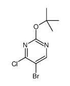 57054-95-2 structure