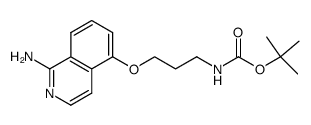 N-(tert-butoxycarbonyl)-3-[(1-amino-5-isoquinolyl)oxy]-propylamine Structure