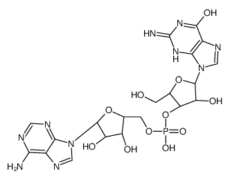 adenylyl-(5'→3')-guanosine picture