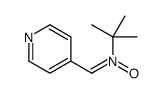 2-Methyl-N-(4-pyridinylmethylene)-2-propanamine N-oxide Structure