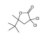 5-tert-butyl-3,3-dichloro-5-methyloxolan-2-one结构式