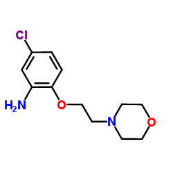 5-Chloro-2-[2-(4-morpholinyl)ethoxy]aniline Structure