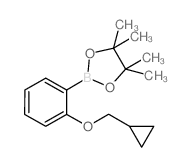 2-环丙基甲氧基苯基硼酸频哪醇酯结构式