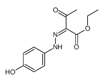ethyl 2-[(4-hydroxyphenyl)hydrazinylidene]-3-oxobutanoate结构式