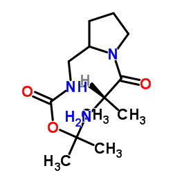 2-Methyl-2-propanyl [(1-alanyl-2-pyrrolidinyl)methyl]carbamate结构式