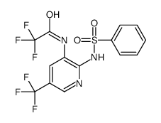 N-[2-(benzenesulfonamido)-5-(trifluoromethyl)pyridin-3-yl]-2,2,2-trifluoroacetamide Structure