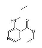 4-Pyridinecarboxylicacid,3-(propylamino)-,ethylester(9CI) Structure