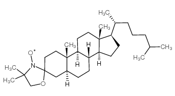 3-doxyl-5alpha-cholestane, free radical structure