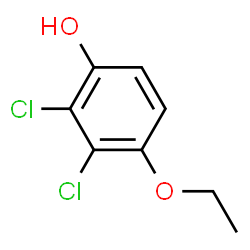 Phenol, 2,3-dichloro-4-ethoxy- (9CI) structure