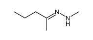 N-Methyl-N'-[1-methyl-but-(E)-ylidene]-hydrazine Structure