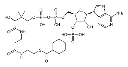 Cyclohexanoyl-Coenzyme A结构式