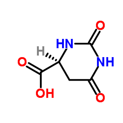 L-Dihydroorotic acid structure