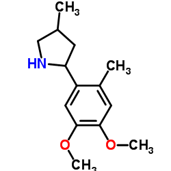 Pyrrolidine, 2-(4,5-dimethoxy-2-methylphenyl)-4-methyl- (9CI) Structure