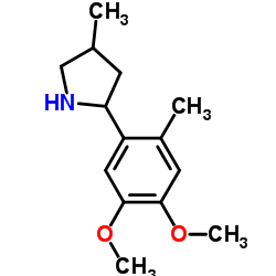 Pyrrolidine, 2-(4,5-dimethoxy-2-methylphenyl)-4-methyl- (9CI) structure