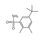 5-tert-butyl-2,3-dimethylbenzenesulfonamide结构式