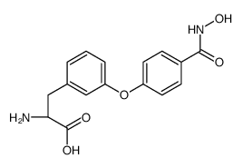 (2S)-2-amino-3-[3-[4-(hydroxycarbamoyl)phenoxy]phenyl]propanoic acid结构式