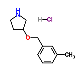 3-[(3-Methylbenzyl)oxy]pyrrolidine hydrochloride (1:1)结构式