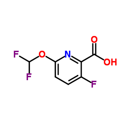 6-(Difluoromethoxy)-3-fluoro-2-pyridinecarboxylic acid structure