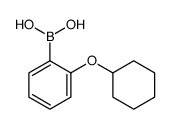 (2-(Cyclohexyloxy)phenyl)boronic acid structure