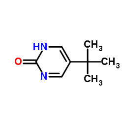 2(1H)-Pyrimidinone,5-(1,1-dimethylethyl)-(9CI) Structure