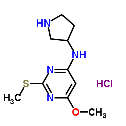 (6-Methoxy-2-Methylsulfanyl-pyrimidin-4-yl)-pyrrolidin-3-yl-amine hydrochloride Structure
