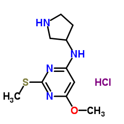 (6-Methoxy-2-Methylsulfanyl-pyrimidin-4-yl)-pyrrolidin-3-yl-amine hydrochloride图片