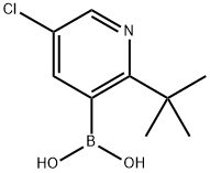 5-Chloro-2-(tert-butyl)pyridine-3-boronic acid结构式