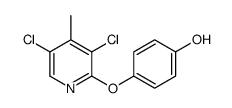 4-(3,5-dichloro-4-methylpyridin-2-yl)oxyphenol Structure