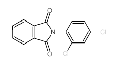 1H-Isoindole-1,3(2H)-dione,2-(2,4-dichlorophenyl)- picture