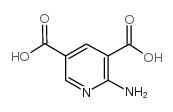 2-氨基-3,5-吡啶二羧酸结构式