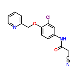 N-(3-氯-4-(吡啶-2甲氧基)苯基)-氰基乙酰胺图片